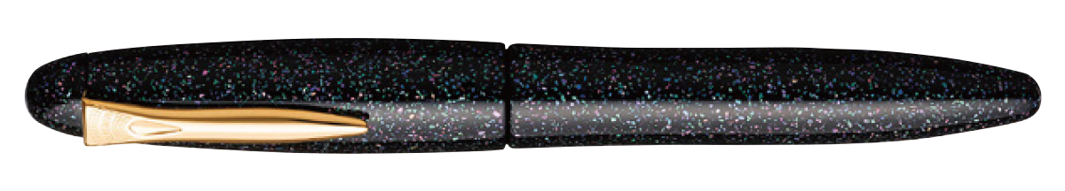 Platinum Raden Izumo Galaxy Fountain Pen