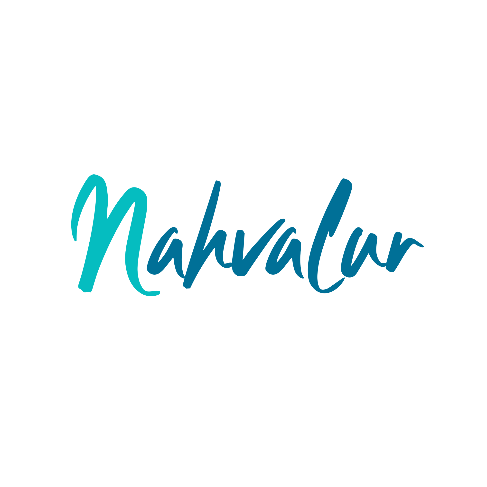 NARWHAL  NAHVALUR Fountain Pen Collection